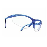 Schutz-Brille Labor gem.EN 166 (zum Desinfektionsschutz) -  029608